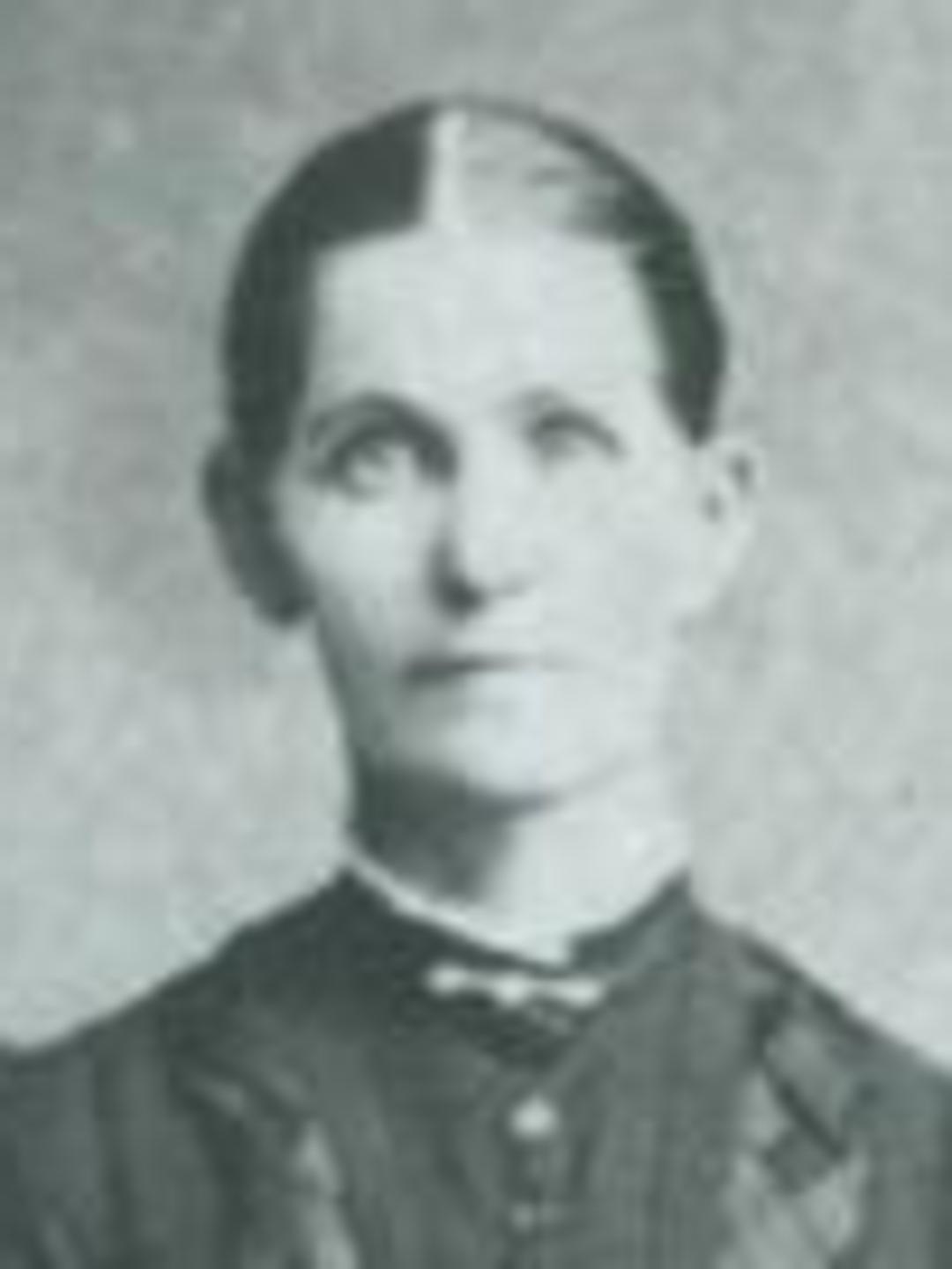 Mary Arepta Molen (1847 - 1911) Profile